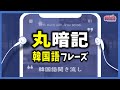 【韓国語聞き流し】丸暗記が最速!話したい人のための韓国語会話フレーズ - ep. 02