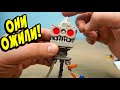 МУСОРНЫЕ ИГРУШКИ ОЖИЛИ Junk Bots Hexbug