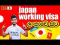 Japan Wisthara - ජපානයේ රැකියා අවස්ථා | Japan Working Visa | Direct from Sri Lanka | Japan Jobs #SL