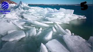 Bunları Biliyormuydunuz? İlginç Gerçekler