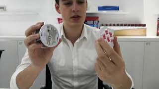 SITERWELL GS521 Smoke Alarm – Long-Lasting 10-Year Battery, Easy to Install