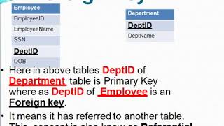 Database Lecture 41,Database Keys and Normalization