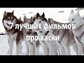 7 лучших фильмов про Хаски