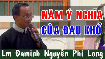 NĂM Ý NGHĨA CỦA ĐAU KHỔ - Bài Giảng Sâu Sắc Của Lm Đaminh Nguyễn Phi Long | Công Giáo Yêu Thương