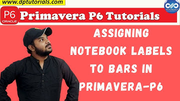 Assigning Notebook labels to PRIMAVERA P6 Gantt Chart Bars || Primavera P6
