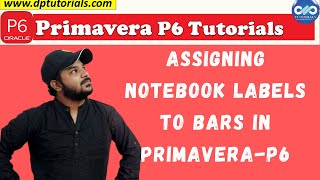 Assigning Notebook labels to PRIMAVERA P6 Gantt Chart Bars || Primavera P6 screenshot 3