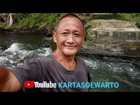 PELESTARI & PECINTA ALAM