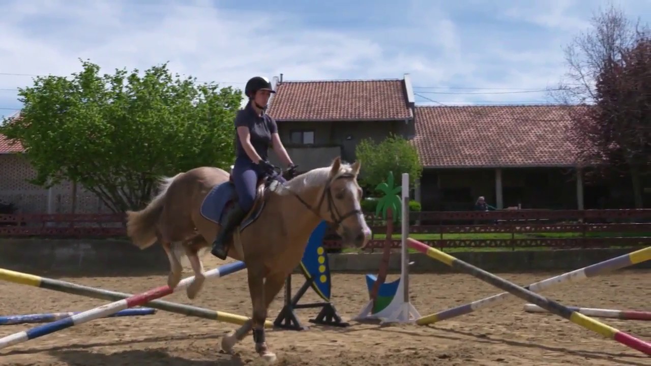 Konjički klub Fortuna Mirjevo Beograd