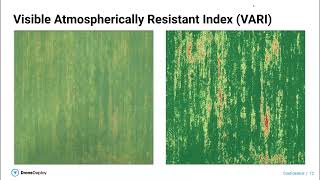 Friend with FieldView - DroneDeploy