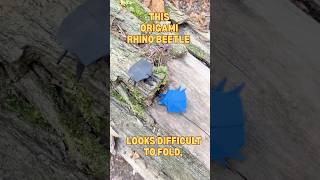 🪲How to Fold This Realistic Origami Beetle | Intermediate Tutorial