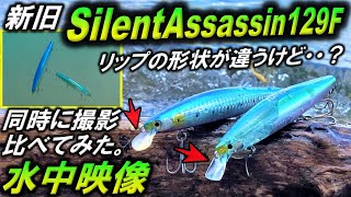 【サイレントアサシン129F 新旧比較】水中映像 アクションが違う?シーバスルアー EXSENCE Silent Assassin 129F FLASHBOOST