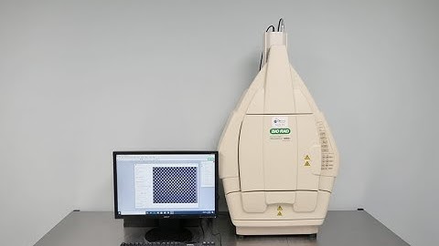 BioRad ChemiDoc XRS+ Imaging System for sale
