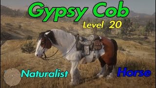Lvl 20 Naturalist Horse | Gypsy Cob / RDR2 Online