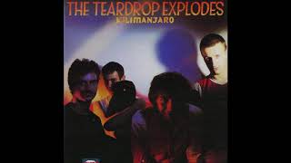 Video thumbnail of "The Teardrop Explodes - Ha Ha I'm Drowning"
