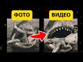 15 РЕДКИХ фотографий, которые оживила нейросеть!