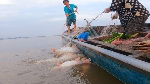 Nhat Xam Nhi Hung, de vissen die in het net gevangen zitten zijn allemaal enorm #66TV #huntingDon...