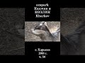 █ ЭкоПарк Харьков ч. 54 / Козочка и КОЗЛИК / 2018 г.  #shorts