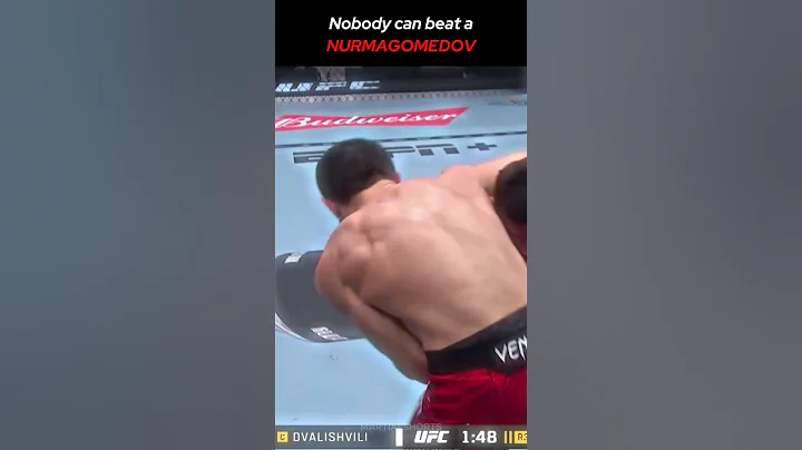 Nurmagomed meets merab 💀