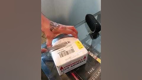 Alligator snapping turtle unboxing!!!!!!