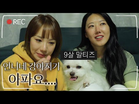언니네 9살 노령견에게 병이 발견되었어요 ㅠㅠ