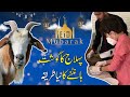 Eid special vlog 2020 with Pehlaaj