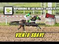 # VIENTO SUAVE # CHALLENGER SANTAFESINA: HIPODROMO DE LAS FLORES (03-11-19)