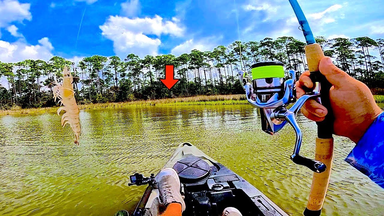 The EASY Way to Catch Fish in a Kayak [Saltwater Fishing] YouTube