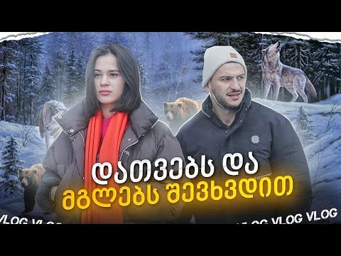 უცნობ გოგოსთან ერთად ველურ ბუნებაში