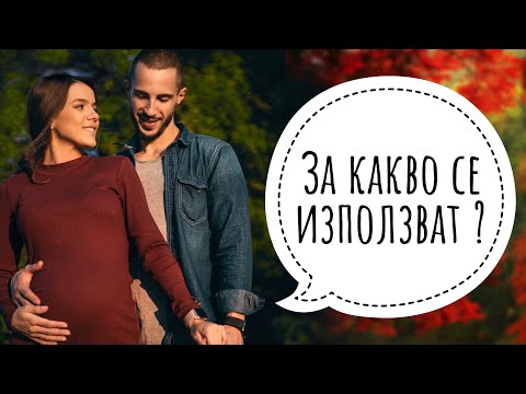 1.Какво са СТВОЛОВИТЕ КЛЕТКИ?