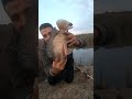 على بركه الله نبدا