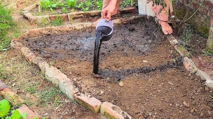 Struggling with Poor Soil? Try This EASY Fix! thumbnail