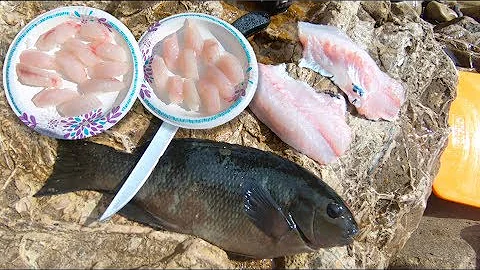 Catch and Cook: With Sushi Chef, Making Opaleye Su...