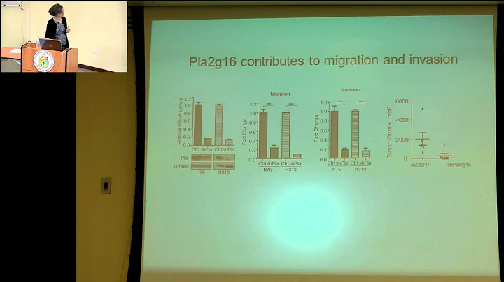 The mouse as a model for understanding the role of p53 missense mutation in cancer