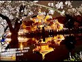 DISCOVER TOKYO UENO PARK MAGICAL NIGHT CHERRY BLOSSOMS LIGHT UP 2024 ***!CONTINUATION OF 1ST PART**