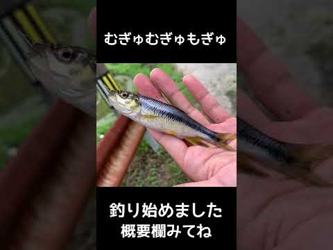 【魚】釣りチャンネル始めました【素揚げ】