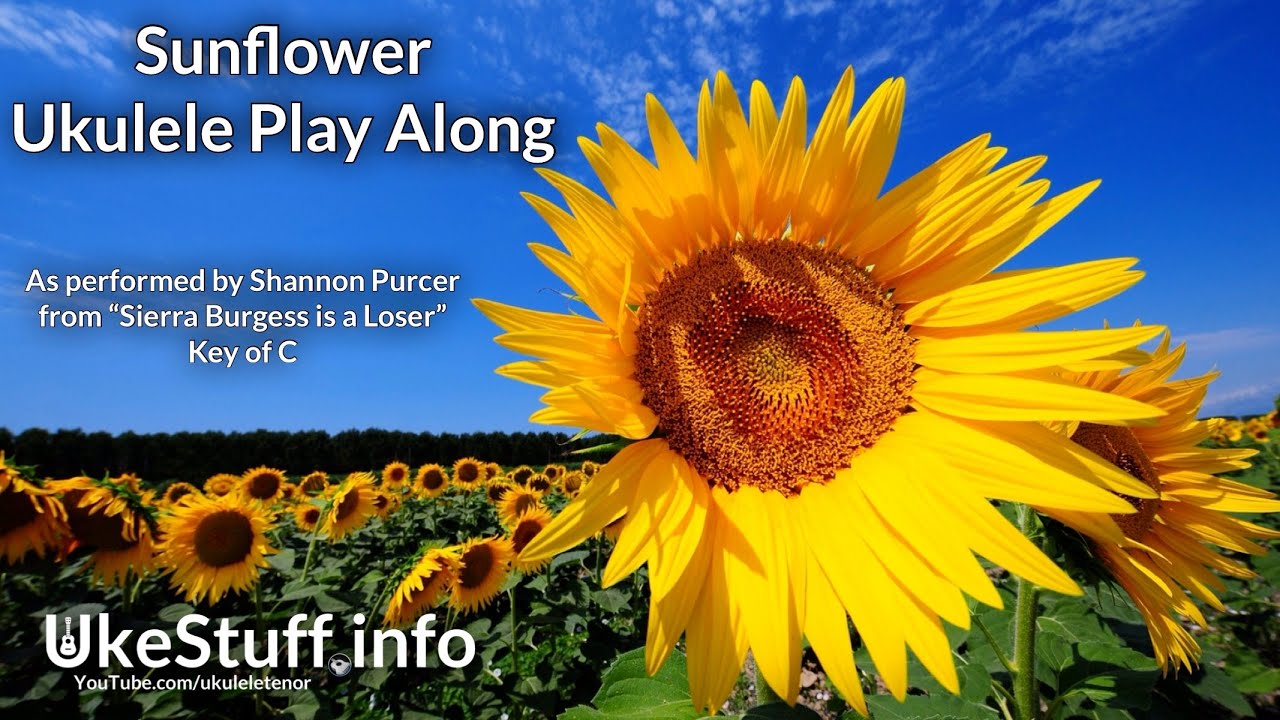 Sunflower (Shannon Purser) Ukulele Play Along YouTube