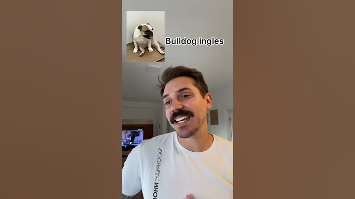 RAÇAS DE CÃES NA FESTA DE ANIVERSÁRIO