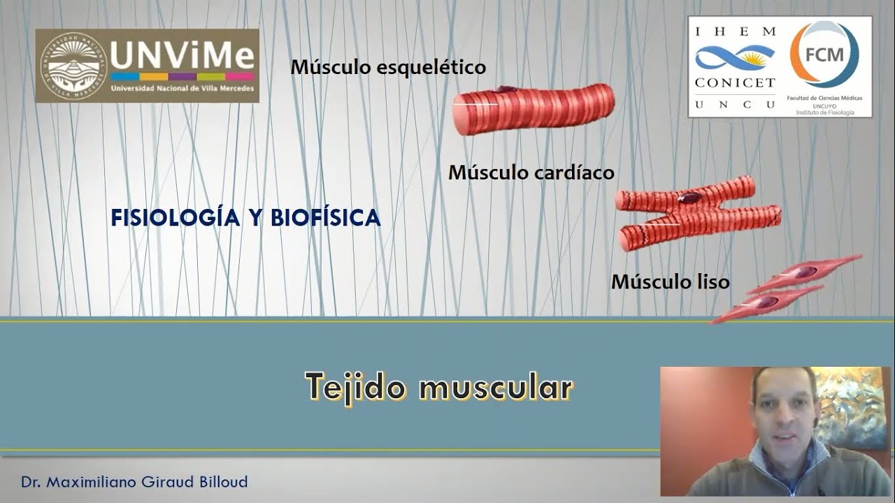 Fisiología musculoesquelética: Tejido muscular (esquelético, cardíaco, liso)