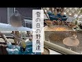 雪の日の野鳥達＆衆院選2026の当日（2026年2月8日）