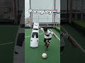🇯🇵 Japón vs Paraguay 🇵🇾
