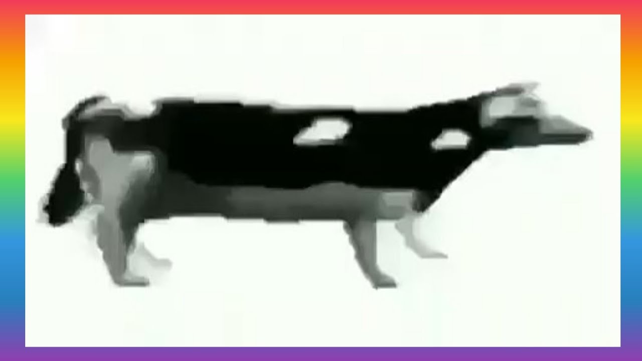 польская корова песня. польская корова. польская корова мем в хорошем качестве. польская корова песня. польская корова.