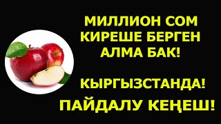 Алма бизнес //  Таластык ишкерден Бизнес насаат Кыргызча мотивация
