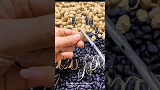 Peeling Black Peanuts A Satisfying Process
