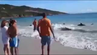 Guardate cosa succede a riva di questa spiaggia italiana!