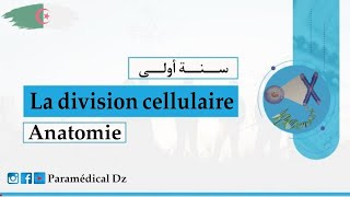 درس la division cellulaire من موديل Anatomie للسنة أولى شبه طبي شرح رائع بالعربية و الفرنسية