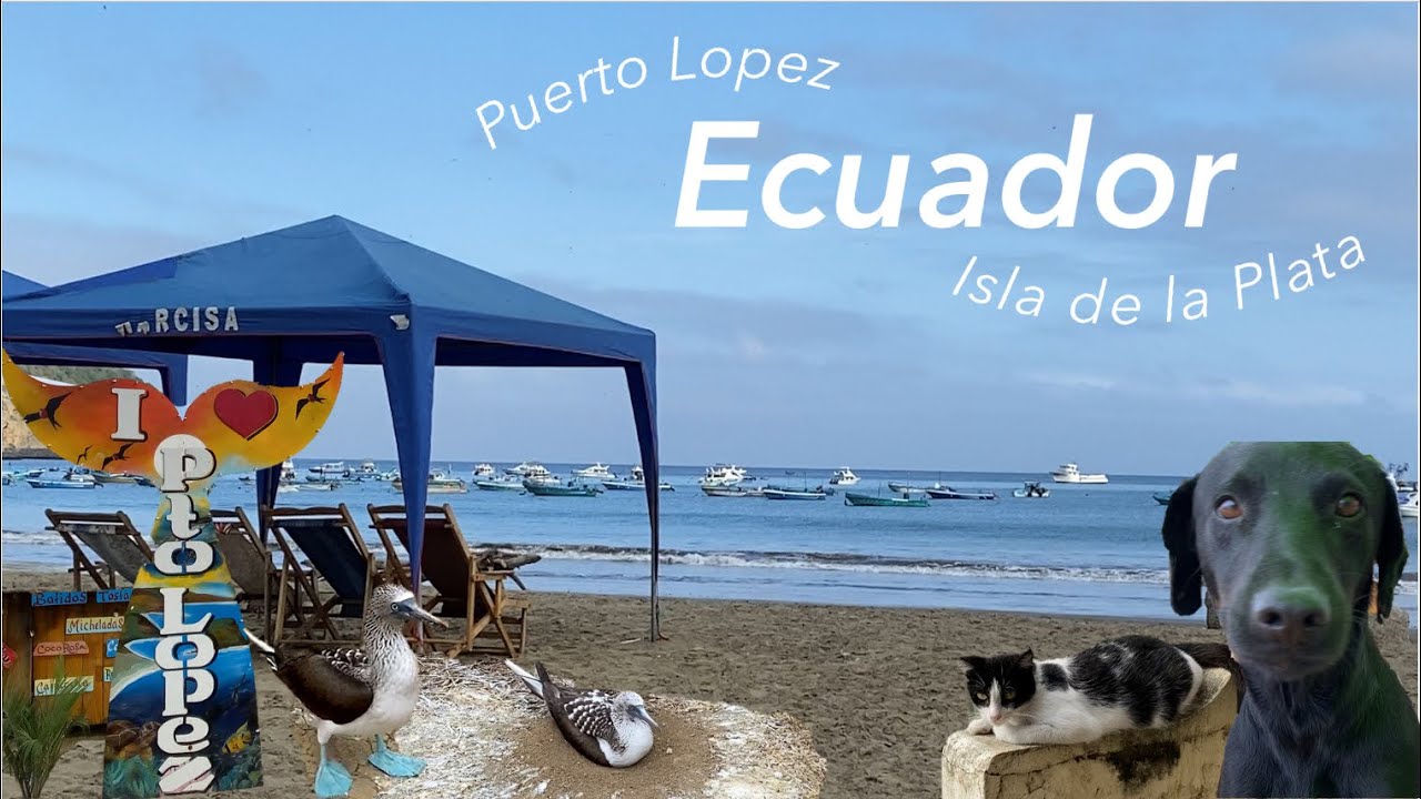ECUADOR ADVENTURES🇪🇨 | PART 5 | Exploring Puerto Lopez and Isla de la Plata