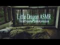 АСМР позитивные аффирмации с ушка на ушко | positive affirmations | rain sounds |Little Dragon ASMR