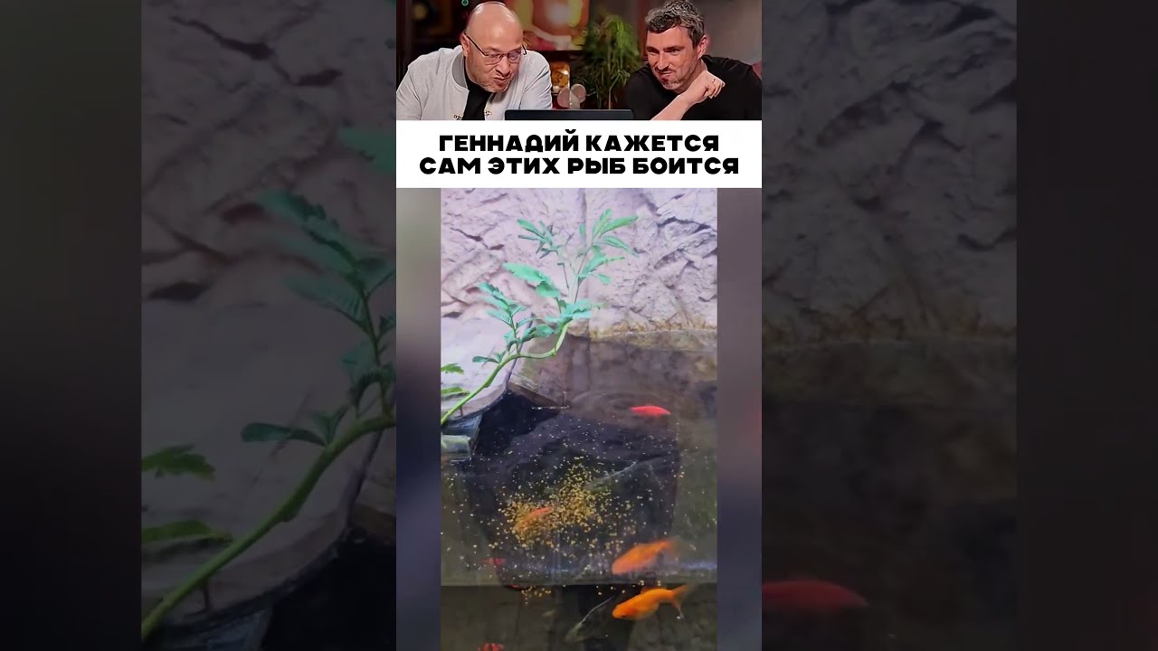 Геннадий кажется сам боится 😹