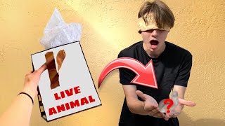 SURPRISING MY BROTHER WITH NEW MYSTERY PET! WHAT WILL HE THINK?!