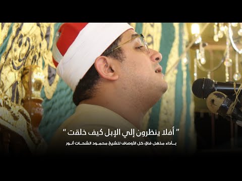 أفلا ينظرون إلي الإبل كيف خلقت بأداء مذهل فاق كل الأوصاف للشيخ محمود الشحات شبرا سندى